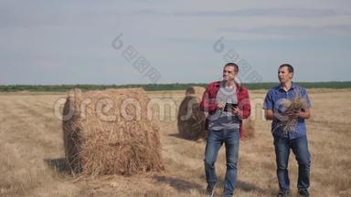 团队<strong>农业</strong>智慧<strong>农业</strong>理念.. 两个男人的农民在<strong>数字</strong>技术上的田野上漫步在干草堆上